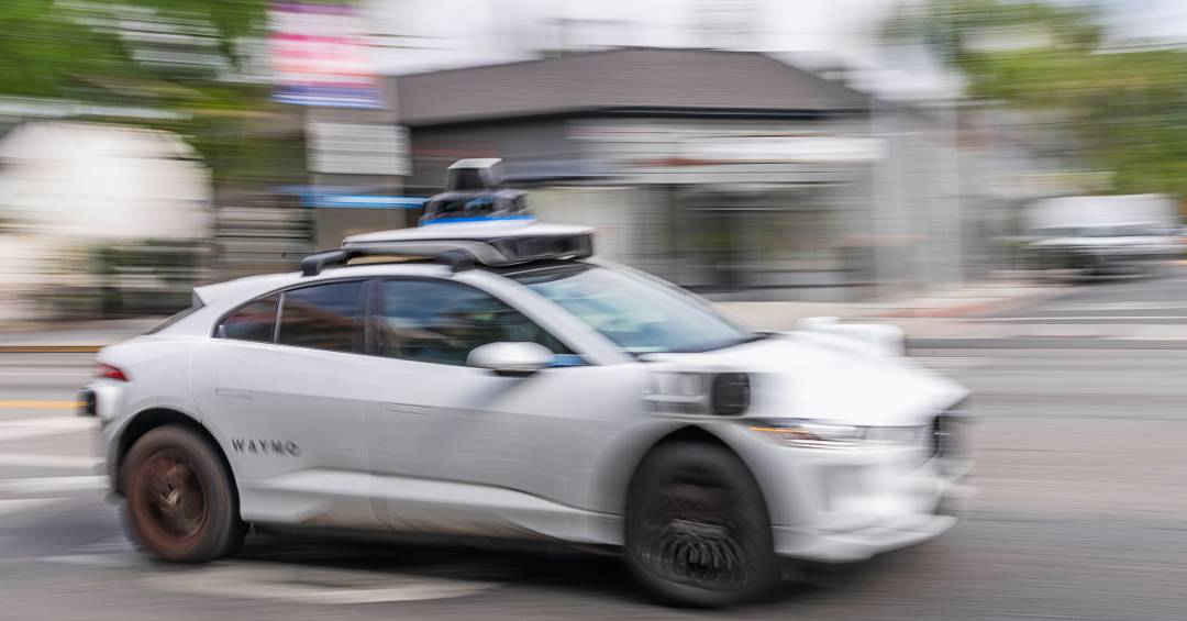 Robô táxi atropela gato e provoca revolta