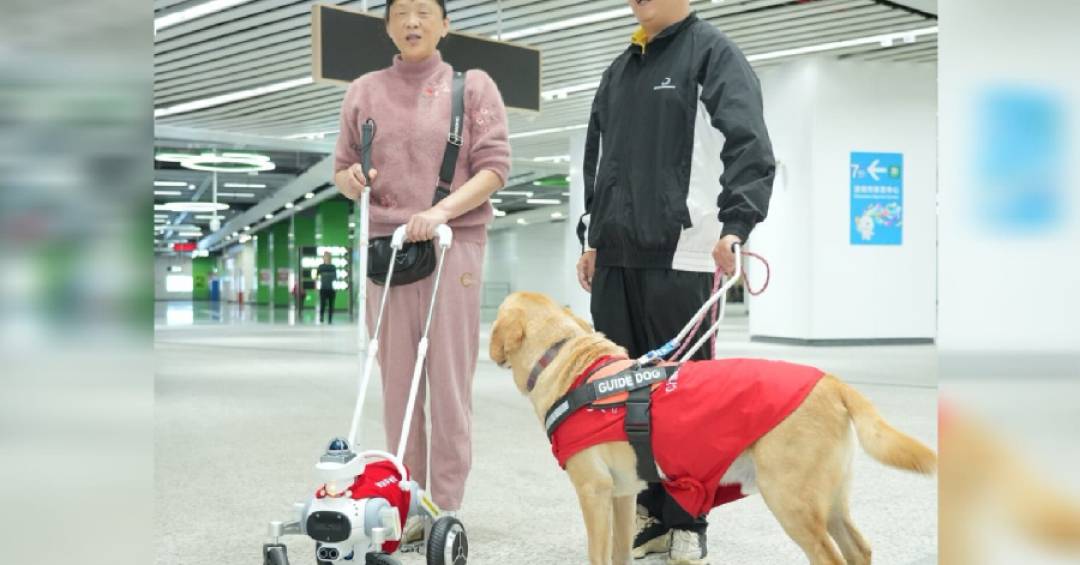 China testa “cão-guia robô” em estação de metrô