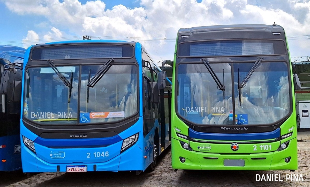 Setor de biocombustíveis e biometano se mobiliza, cria coalização parlamentar e quer dominar debate para opção ser a principal na “descarbonização” dos transportes