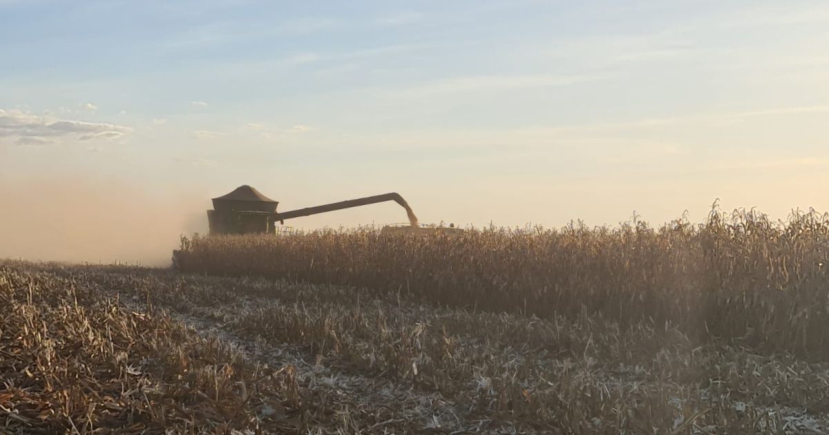 Diretor da Inpasa detalha investimentos no Brasil