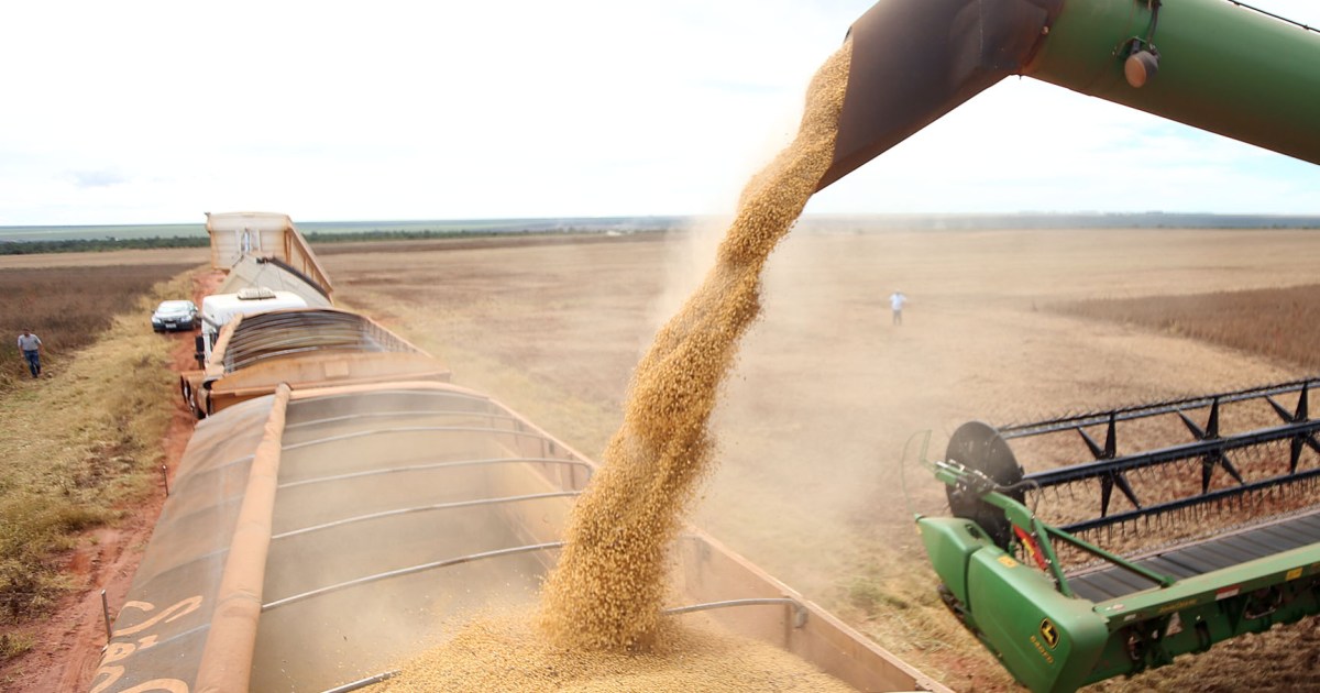 Alta do petróleo impulsiona as cotações de soja, milho e açúcar no mundo.