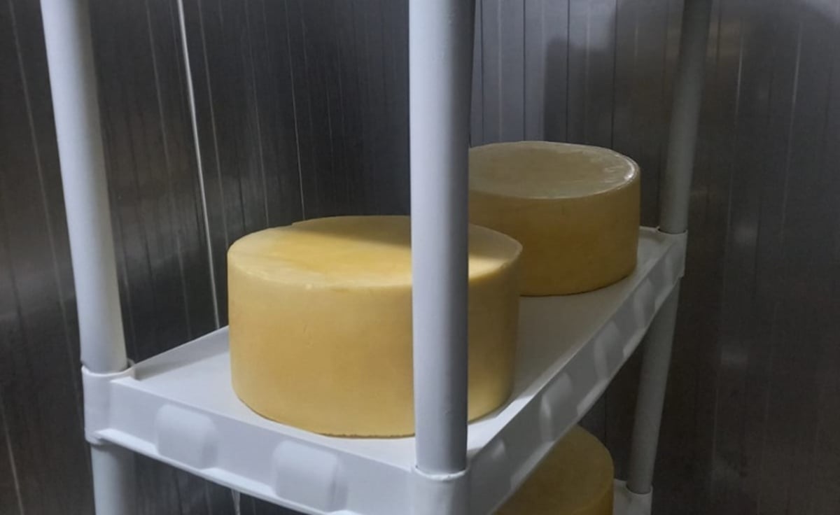 Selo federal abre mercado nacional para queijos e ovos de Araçatuba