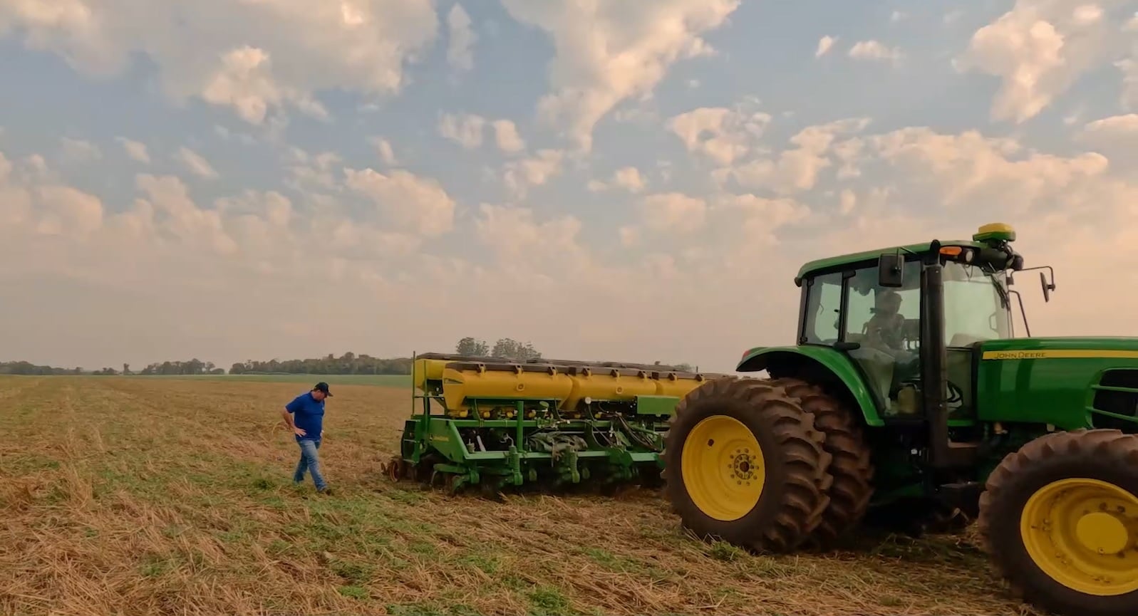 Plantio de milho avança no Brasil, enquanto soja mantém ritmo na colheita, aponta Datagro