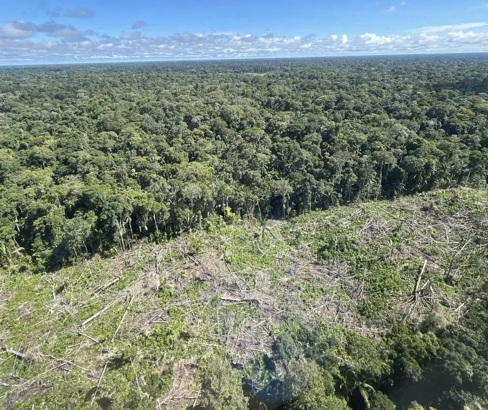 Levantamento do Imazon aponta recuo de 32% no desmatamento no Acre