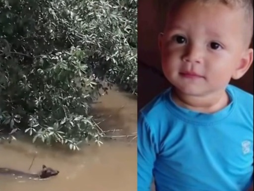 Buscas entram no 4º dia e contam com cães farejadores por bebê desaparecido em Eldorado dos Carajás