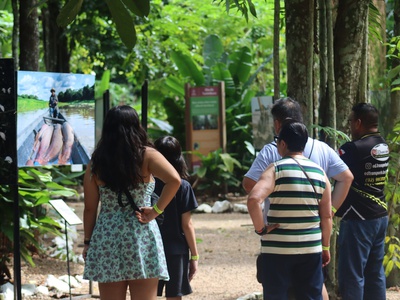 Bosque da Ciência celebra 31 anos nesta quarta em Manaus; VEJA