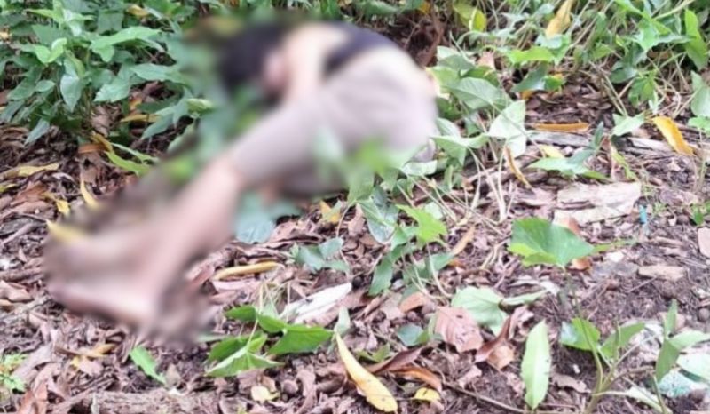 corpo de jovem é encontrado em área de mata em Manaus