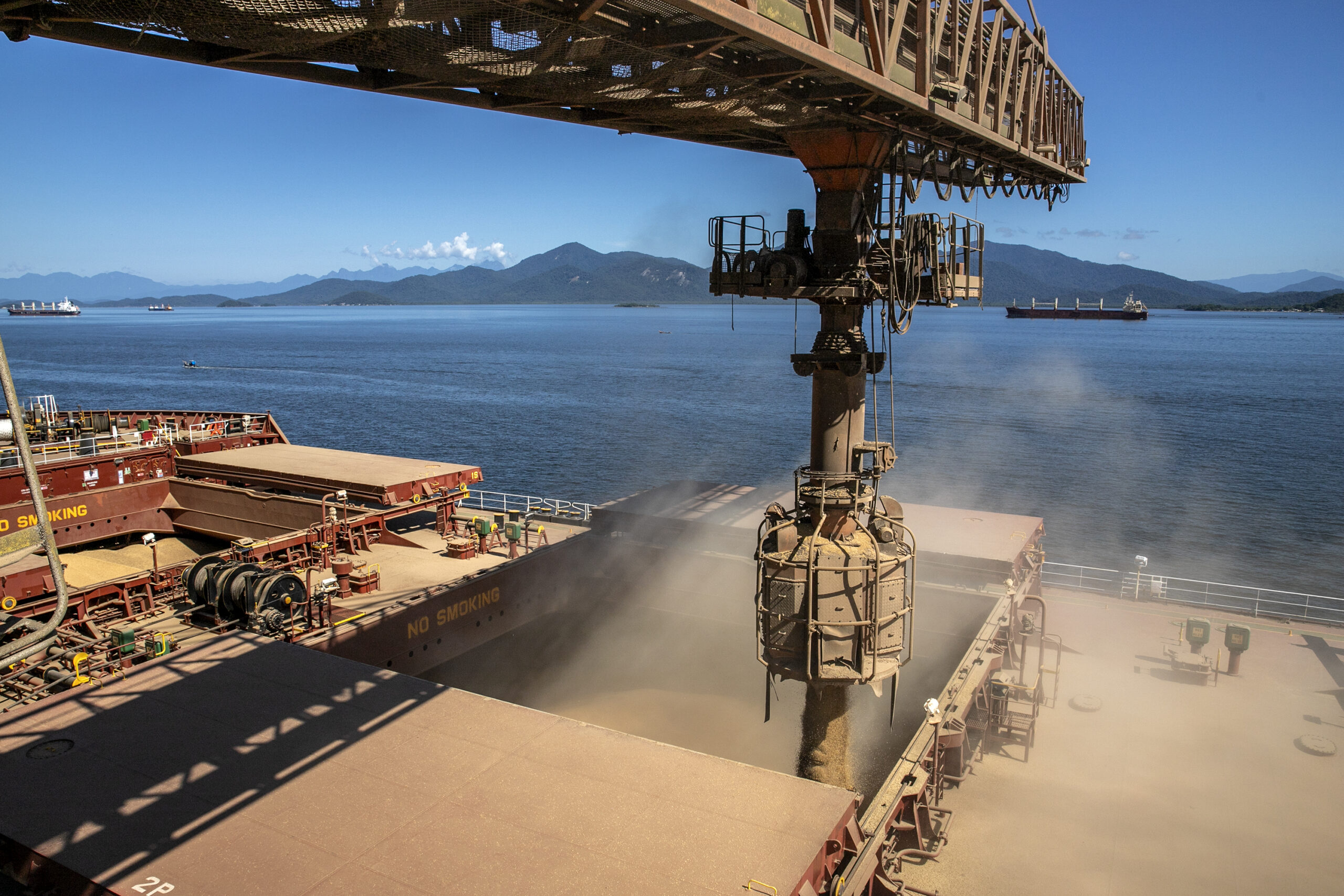 Exportações de soja do Brasil devem superar 17 milhões de t em março