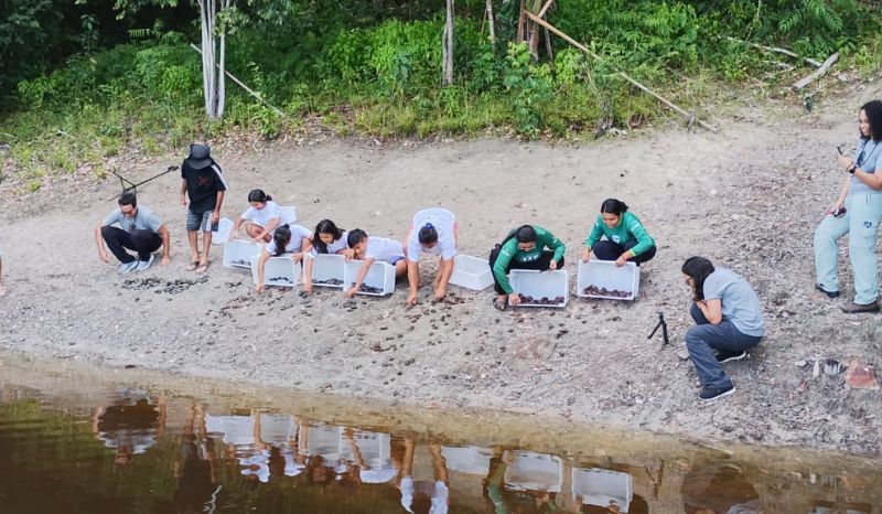 Soltura de quelônios mobiliza comunidades e fortalece conservação