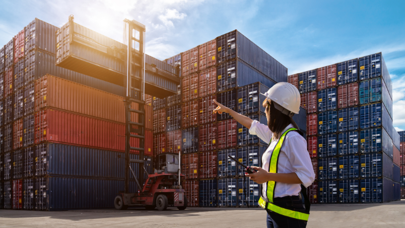 Roraima e a expansão das exportações: como a integração à política nacional pode fortalecer o mercado externo
