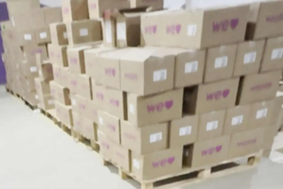 Galpão irregular com produtos da WePink é fechado em Anápolis