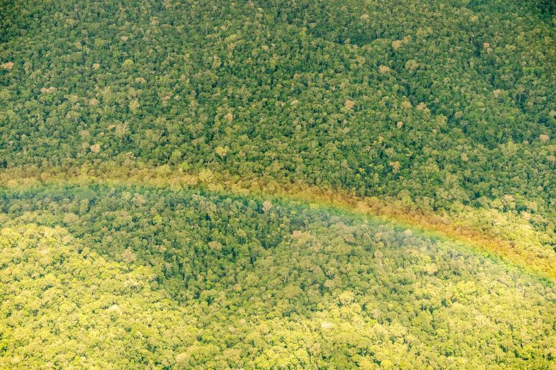 Desmatamento no Pará cai para 11 km² em março e registra menor índice desde 2019