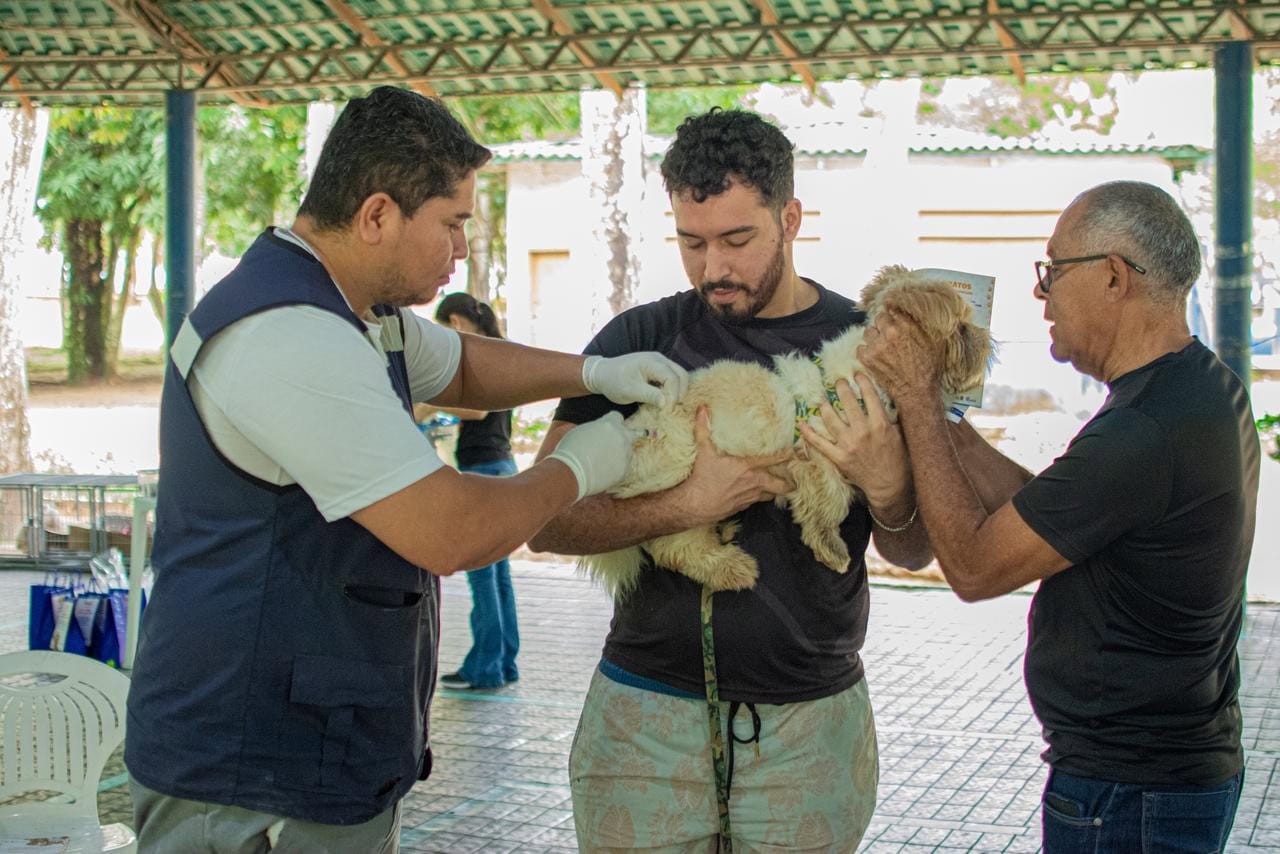 Rio Branco vacina 936 animais e registra 30 adoções no Horto Florestal