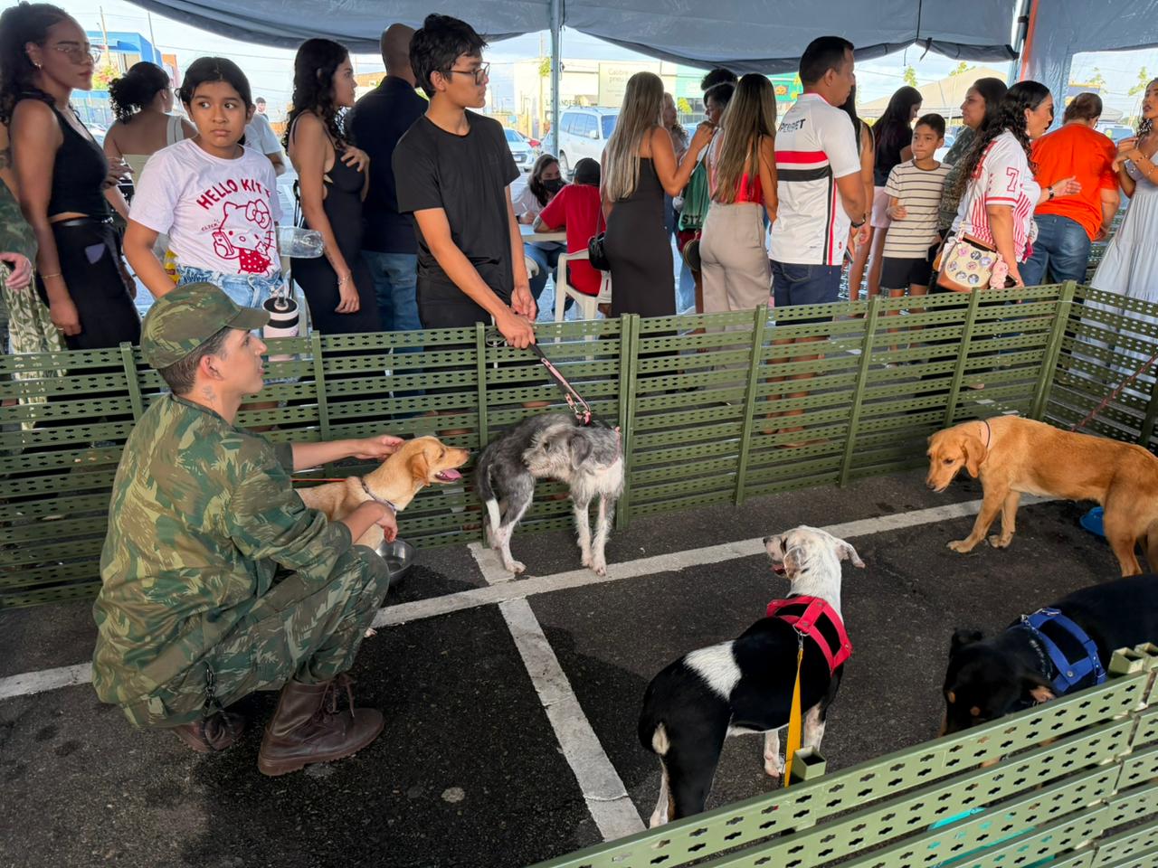 Vinte e oito animais encontrados em abrigos ganham novo lar após feira em Boa Vista