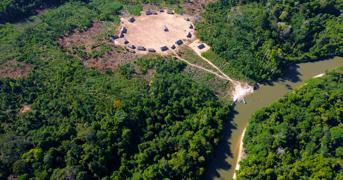 Projetos integram proteção da floresta e geração de renda para povos indígenas