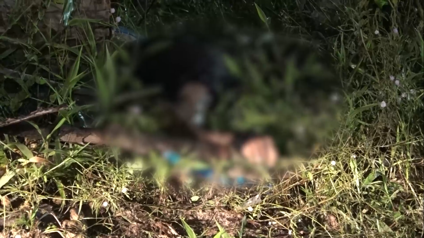 Corpo é encontrado em área de mata no Tibiri, na Grande São Luís
