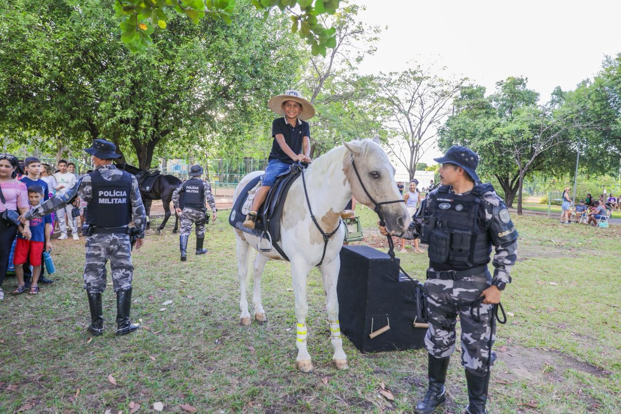 Domingo no Parque leva shows e atividades gratuitas à Praça do Tamanduá; confira a programação