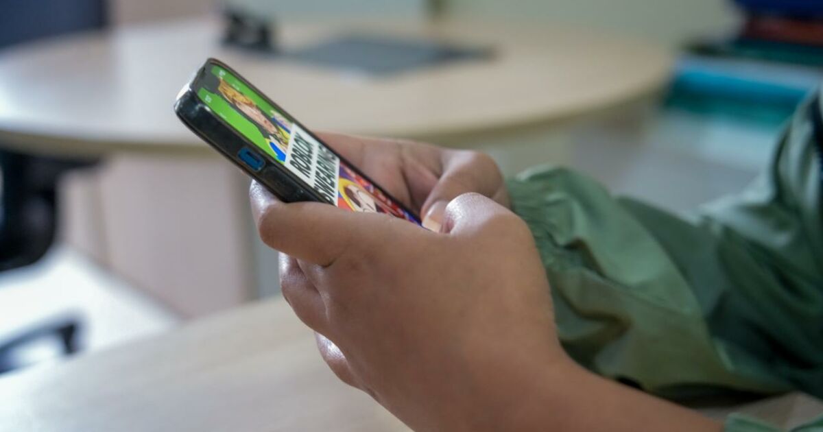 DPE-AM alerta para riscos no ambiente digital para crianças e adolescentes