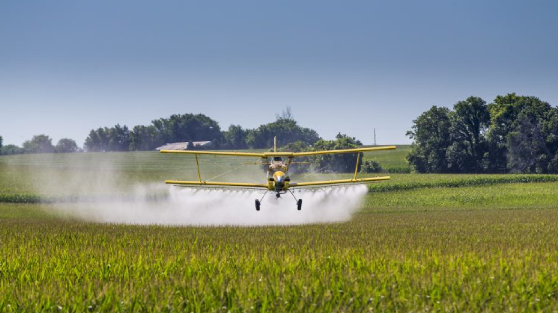 Timbiras: Justiça barra pulverização aérea de agrotóxicos