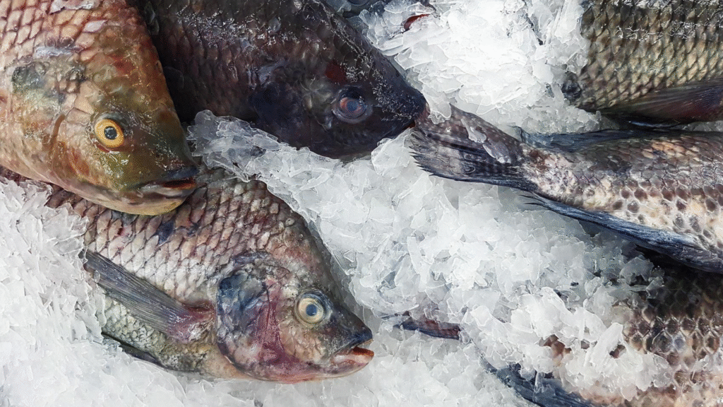 São Luís: produtos de Páscoa registram diferença de até 346% nos preços