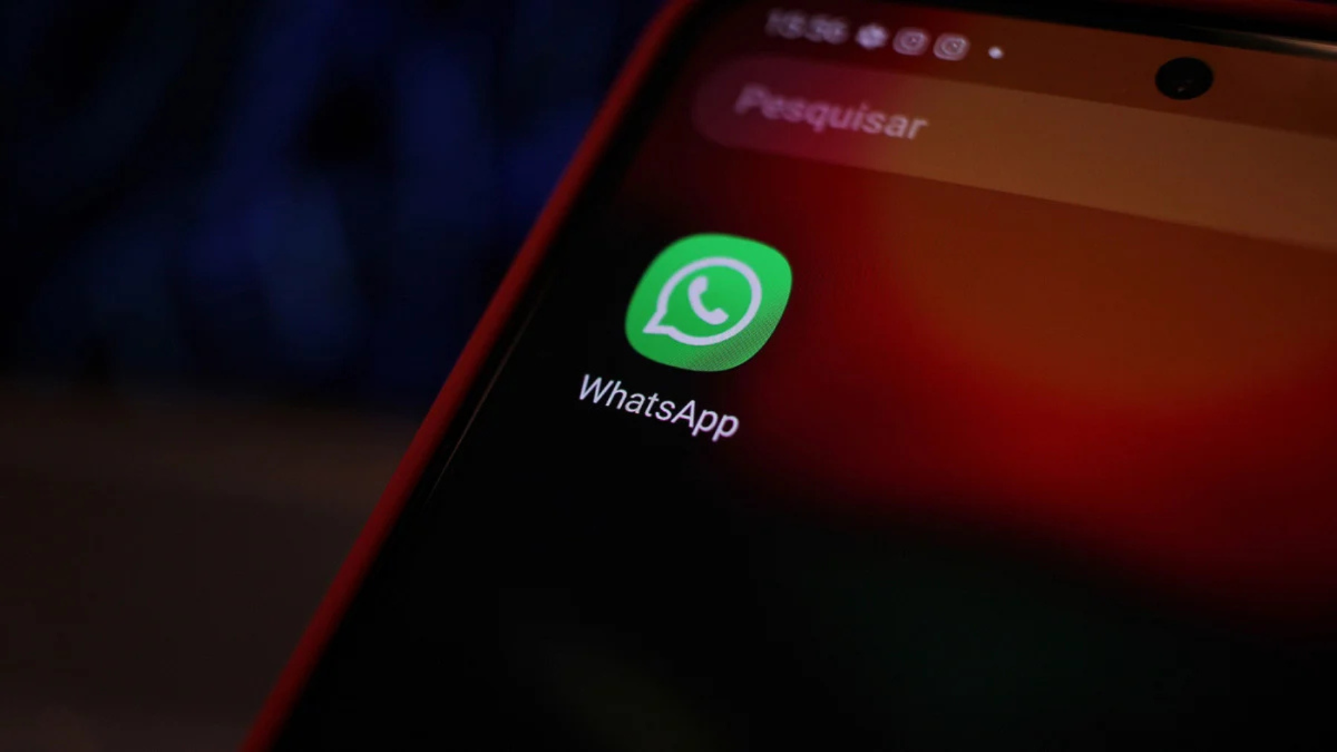 WhatsApp vai substituir número por nome de usuário