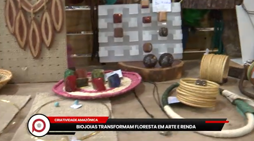 Biojóias transformam floresta em arte e renda