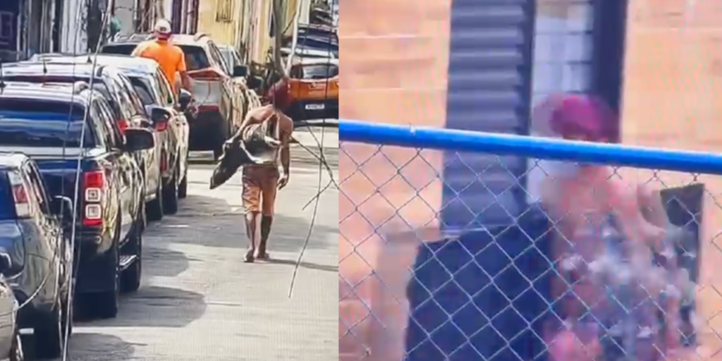 Vídeo: Homem é preso em flagrante após furtar fiação e porta de quiosque na Nova Tamandaré, em Belém