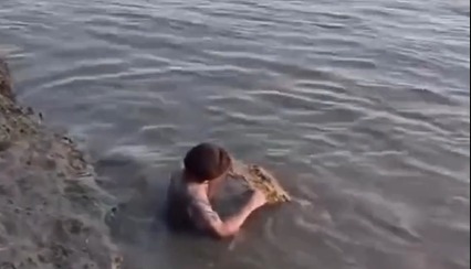 Garoto escova dentes de jacaré em rio e vídeo chama atenção