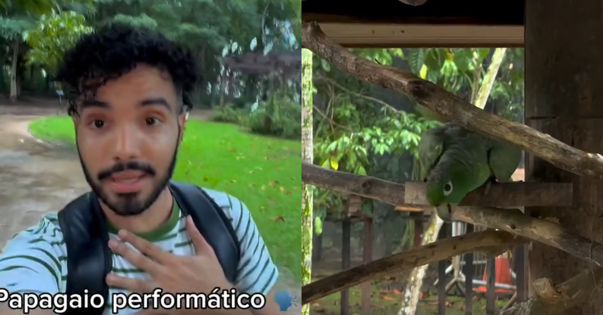 Papagaio “performático” chama atenção e diverte visitantes no Mangal das Garças, em Belém