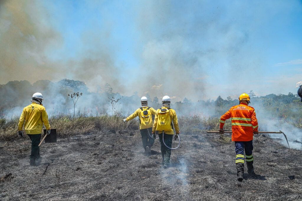 Brigadistas: governo divulga resultado da 1ª fase de seletivo com 50 vagas no Acre; veja classificação