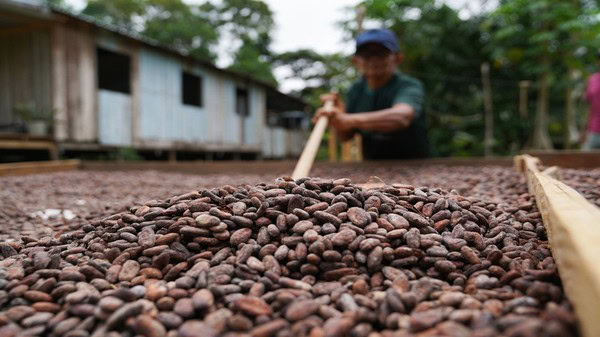Edital de R$ 150 milhões impulsiona agricultura familiar em Rondônia