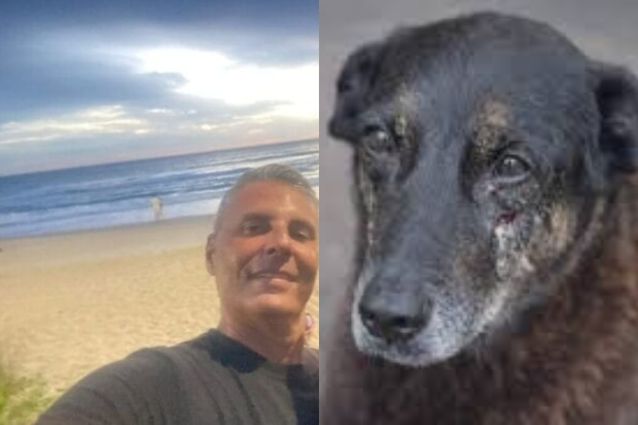 Cão Orelha: morre empresário investigado por coação de testemunha no caso