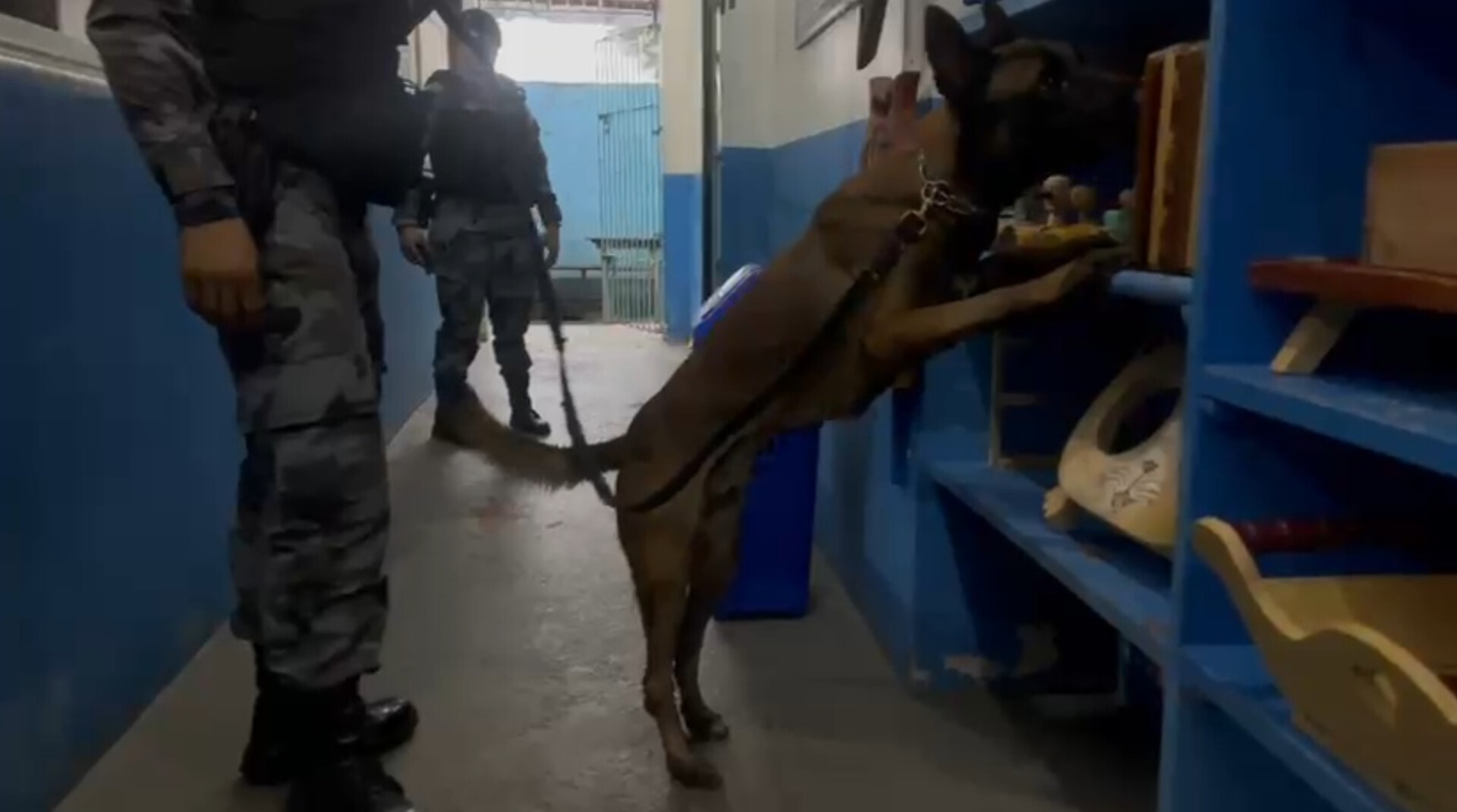 Grupo criminoso dentro do Iapen é alvo do Ministério Público – Diário do Amapá