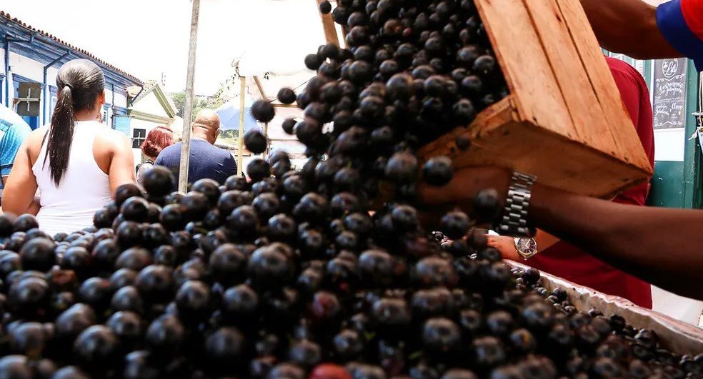 Jabuticaba, açaí e guaraná estão entre as melhores frutas do mundo