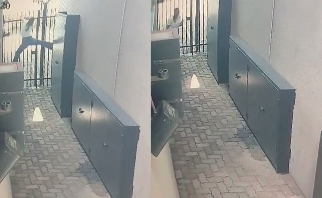 susto faz mulher escalar portão para fugir de lagarto