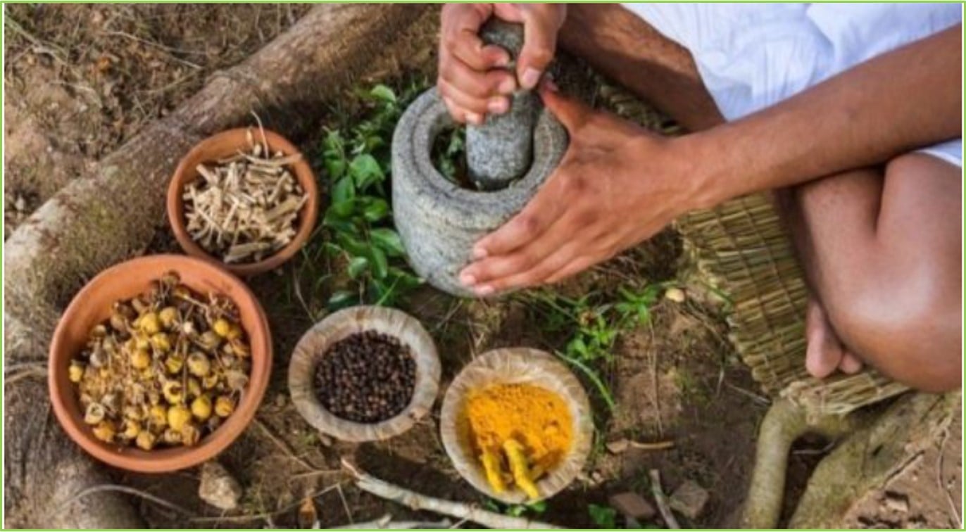 A sabedoria ancestral que cura: como a cultura indígena inspira saúde e bem-estar na vida moderna