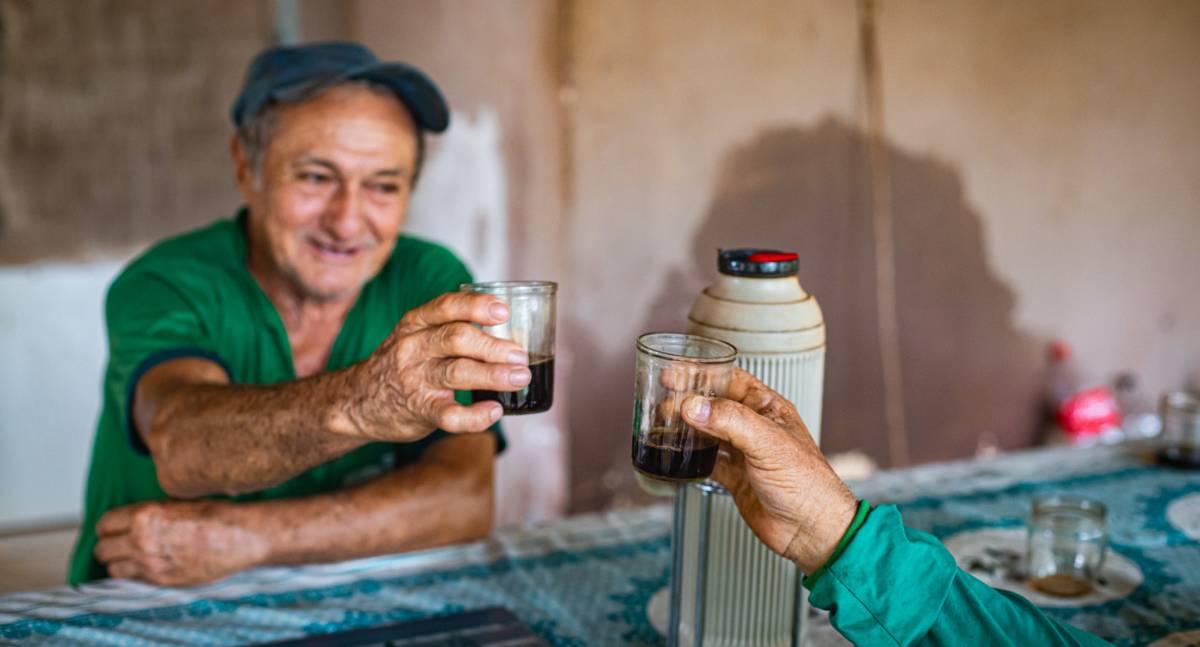 Café transforma vidas de produtores reassentados em Porto Velho