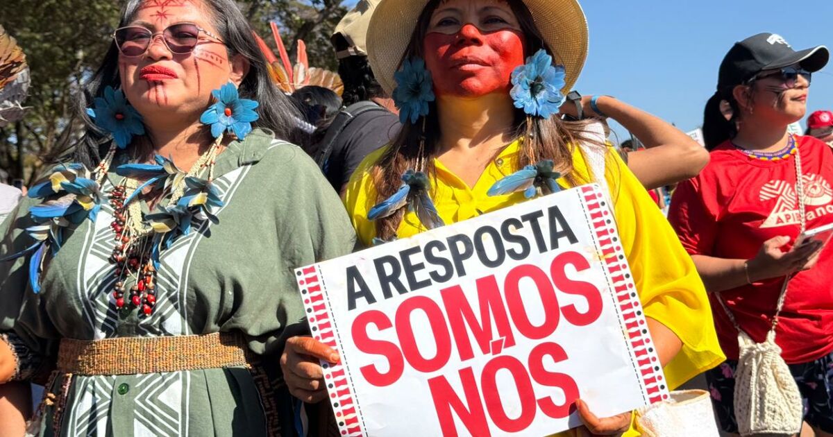 Povos indígenas estão no centro das soluções para a Amazônia e o clima