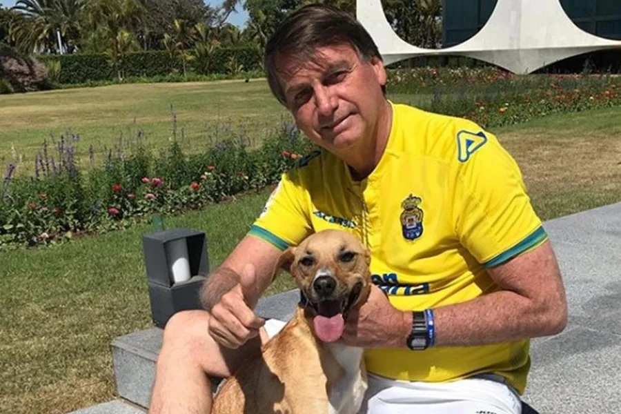 Cão de bolsonaro morde PMs durante a guarda da prisão domiciliar