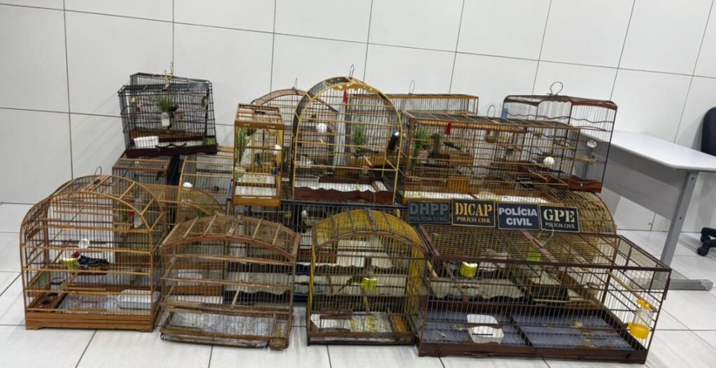 Operação prende três pessoas e apreende drogas e armas em Timon