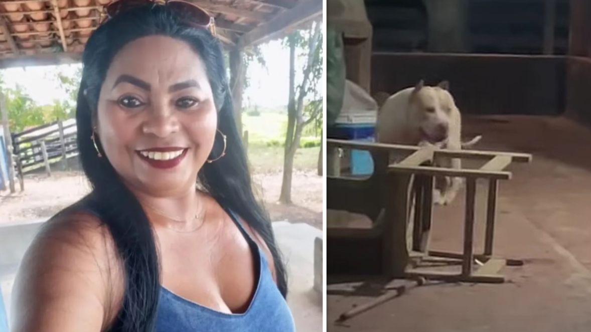 Mulher é morta pelo próprio cachorro na zona rural de Bacabal