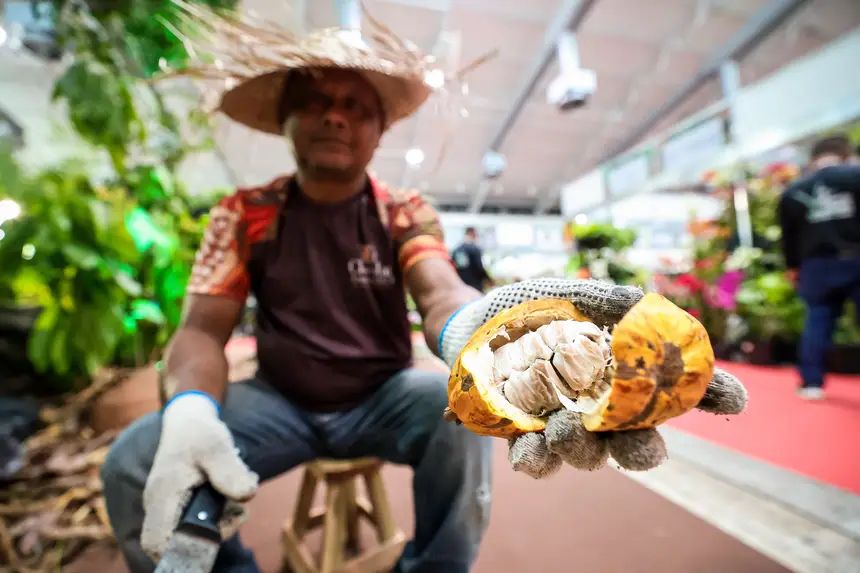 Chocolat Amazônia movimenta o Hangar e atrai visitantes neste fim de semana