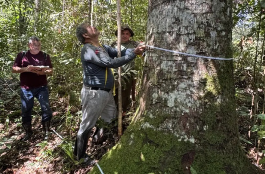 Pesquisa inédita revela espécie ameaçada em parque do Pará