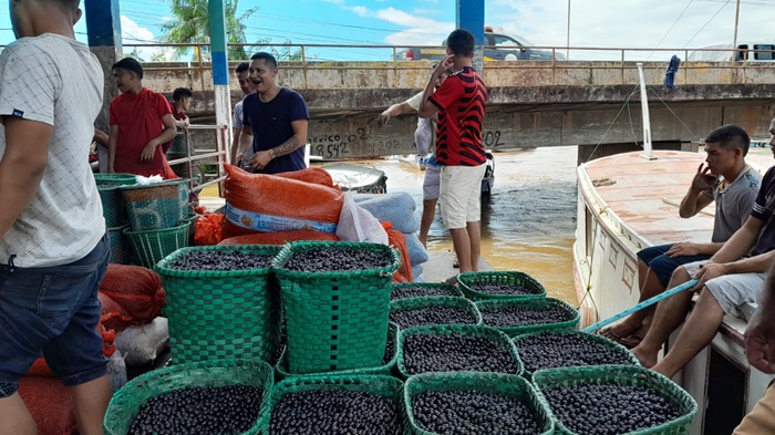 Amapá tem 2ª morte por doença de Chagas; 3º óbito é investigado – SelesNafes.com