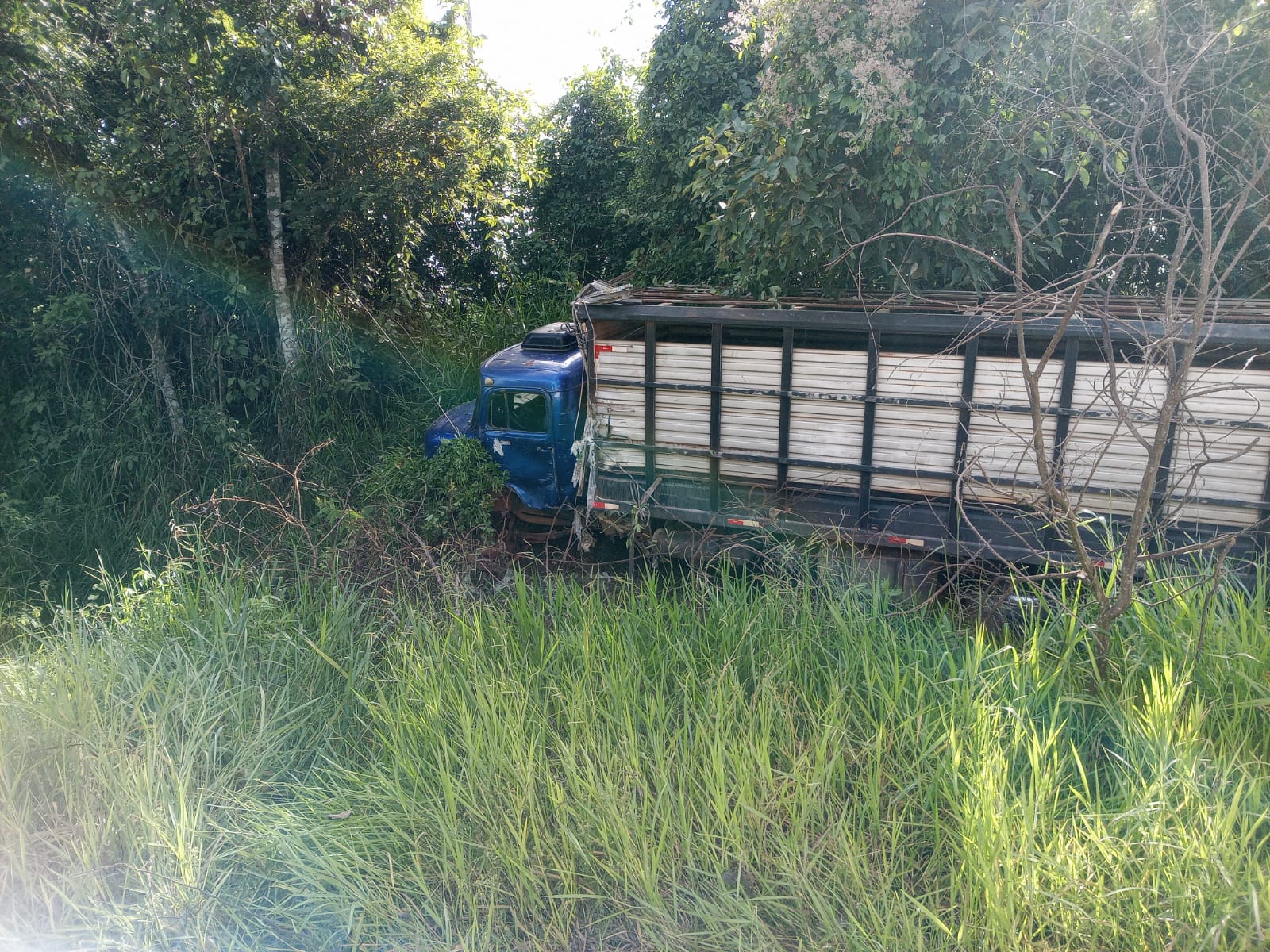 Acidente entre caminhões deixa veículo tombado e outro em área de mata na BR-364