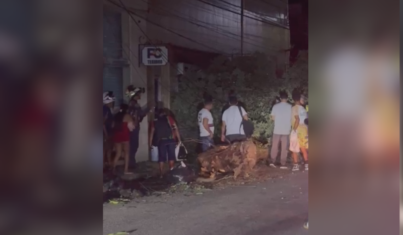 caminhão derruba fiação e árvore no Centro de Manaus; pedestre é atingido