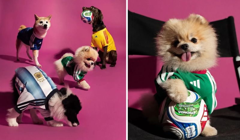 Adidas lança camisas da Copa do Mundo de 2026 para pets