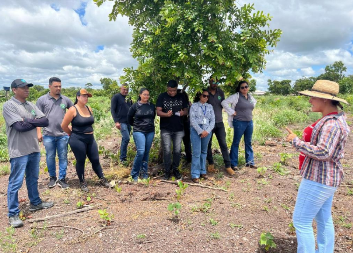 Cursos técnicos em agronegócio ampliam oportunidades de qualificação…