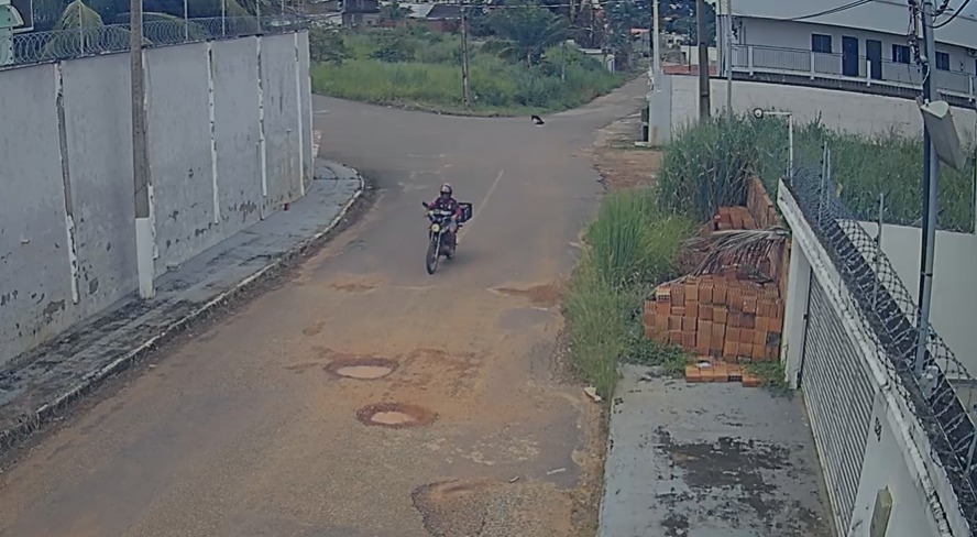 Motociclista é suspeito de agredir cachorro com bloco de cimento; veja vídeo