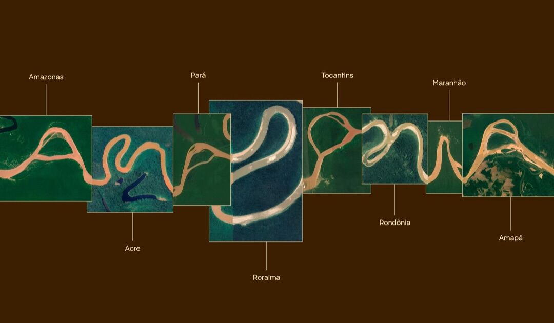 Amazônia ganha alfabeto inédito criado a partir de imagens da floresta; VEJA